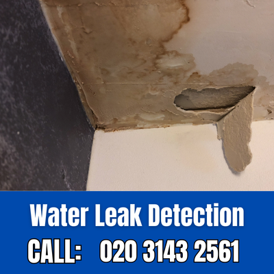 Expert Water Leak Detection Services in Uxbridge | Uxbridge Leak Detection